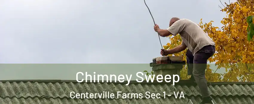 Chimney Sweep Centerville Farms Sec 1 - VA