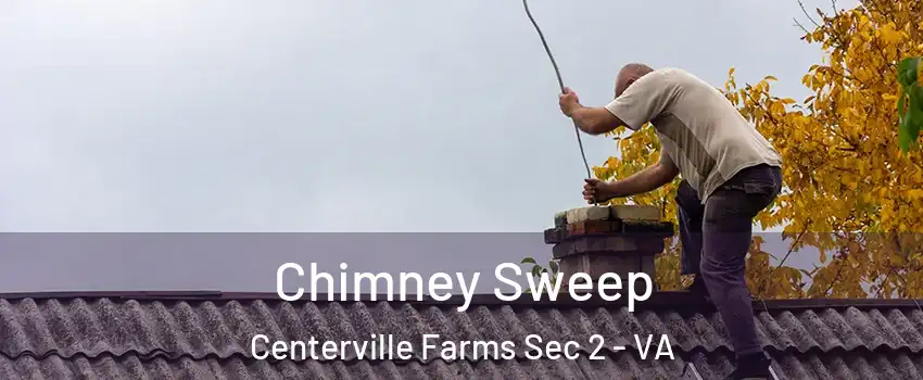 Chimney Sweep Centerville Farms Sec 2 - VA