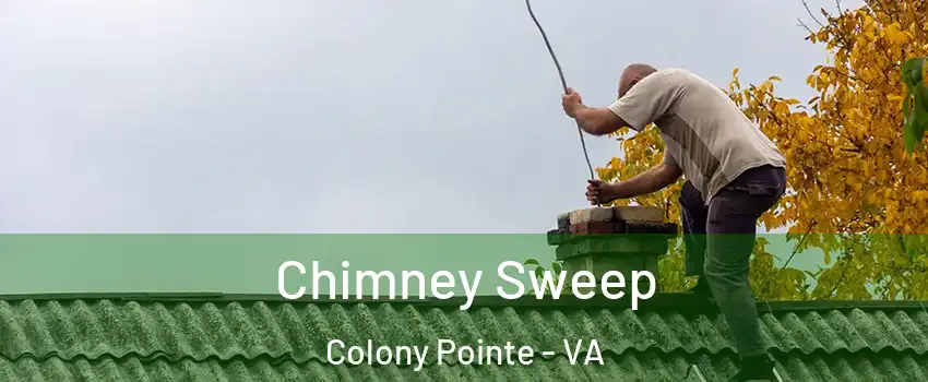 Chimney Sweep Colony Pointe - VA
