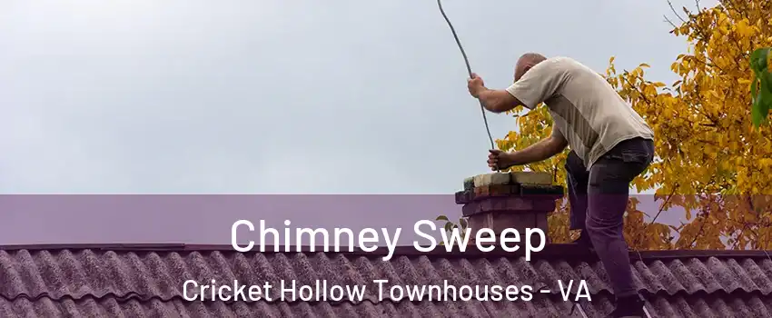 Chimney Sweep Cricket Hollow Townhouses - VA