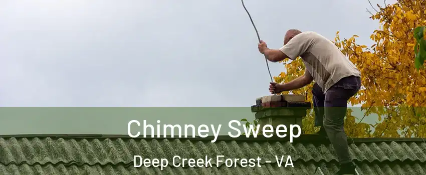 Chimney Sweep Deep Creek Forest - VA
