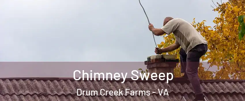 Chimney Sweep Drum Creek Farms - VA
