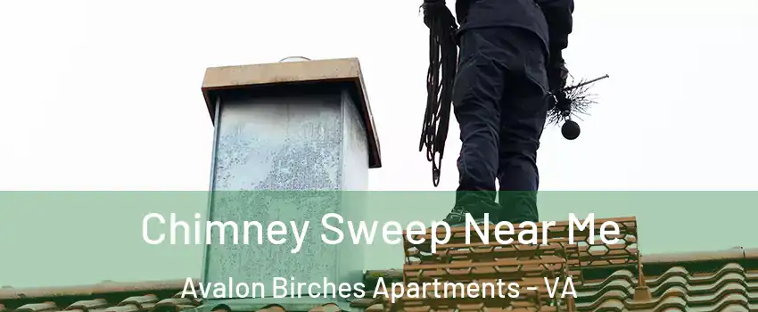 Chimney Sweep Near Me Avalon Birches Apartments - VA