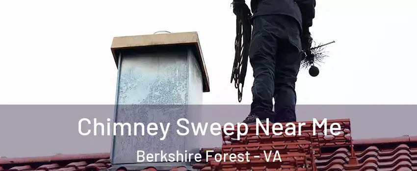 Chimney Sweep Near Me Berkshire Forest - VA