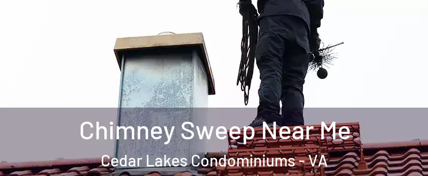Chimney Sweep Near Me Cedar Lakes Condominiums - VA