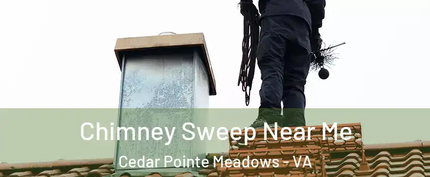 Chimney Sweep Near Me Cedar Pointe Meadows - VA