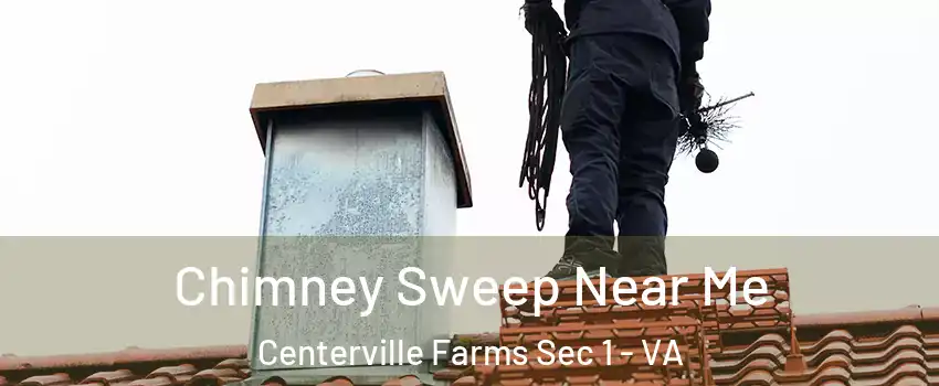 Chimney Sweep Near Me Centerville Farms Sec 1 - VA