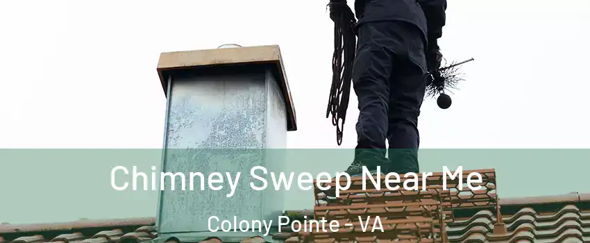 Chimney Sweep Near Me Colony Pointe - VA