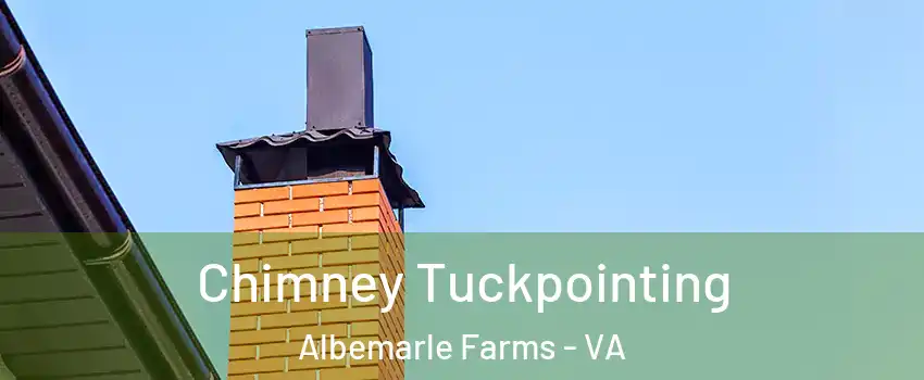 Chimney Tuckpointing Albemarle Farms - VA
