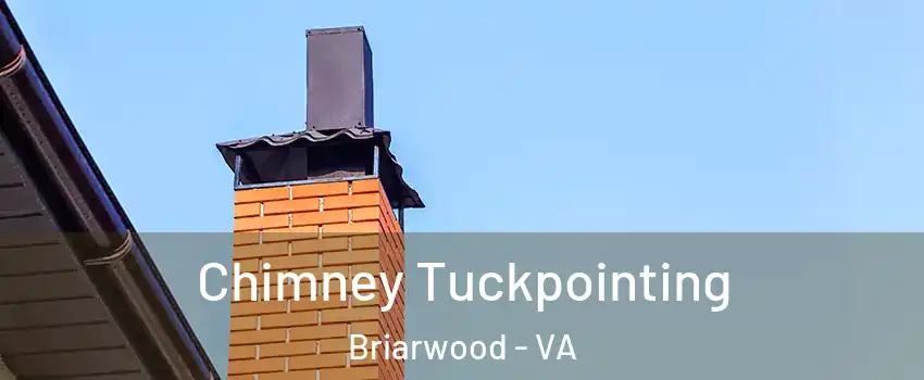 Chimney Tuckpointing Briarwood - VA