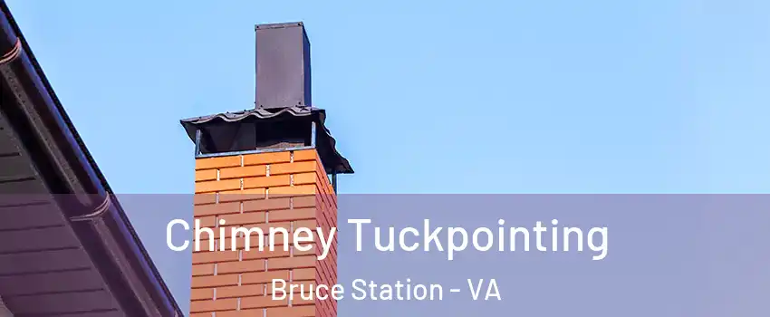 Chimney Tuckpointing Bruce Station - VA