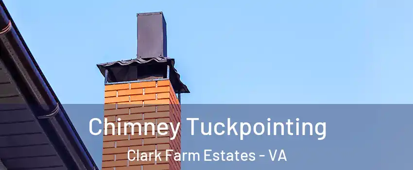 Chimney Tuckpointing Clark Farm Estates - VA