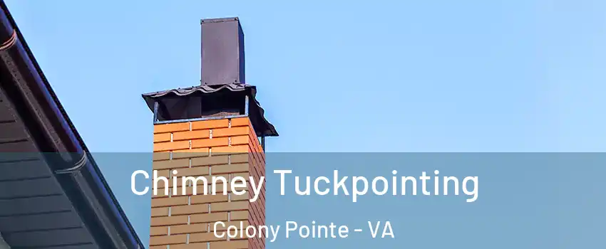 Chimney Tuckpointing Colony Pointe - VA