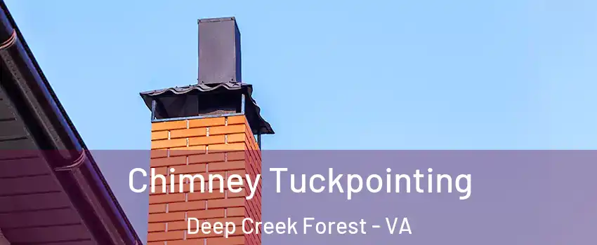 Chimney Tuckpointing Deep Creek Forest - VA