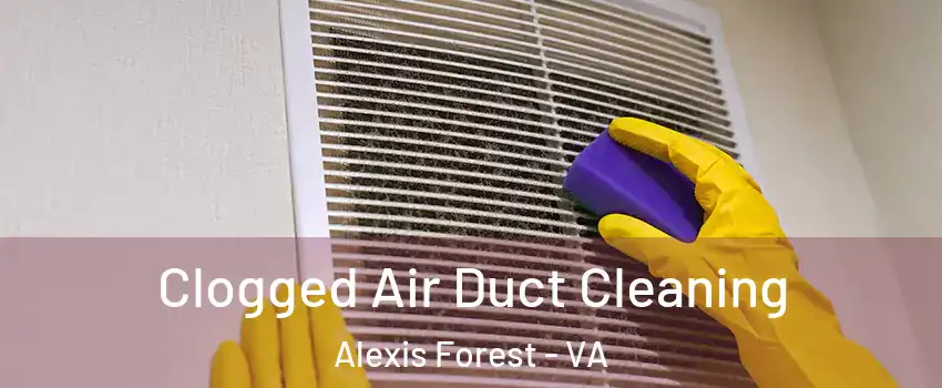 Clogged Air Duct Cleaning Alexis Forest - VA
