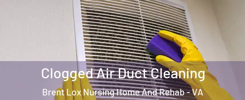 Clogged Air Duct Cleaning Brent Lox Nursing Home And Rehab - VA