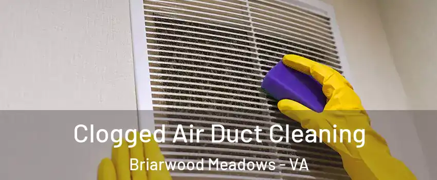 Clogged Air Duct Cleaning Briarwood Meadows - VA
