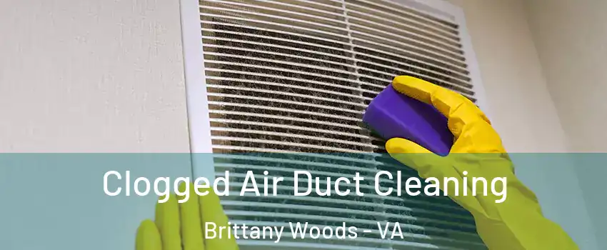 Clogged Air Duct Cleaning Brittany Woods - VA