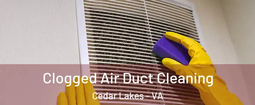 Clogged Air Duct Cleaning Cedar Lakes - VA