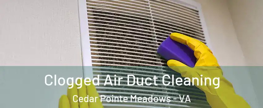 Clogged Air Duct Cleaning Cedar Pointe Meadows - VA