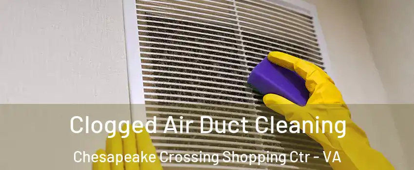 Clogged Air Duct Cleaning Chesapeake Crossing Shopping Ctr - VA