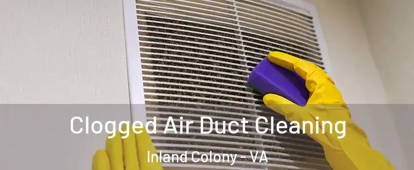 Clogged Air Duct Cleaning Inland Colony - VA