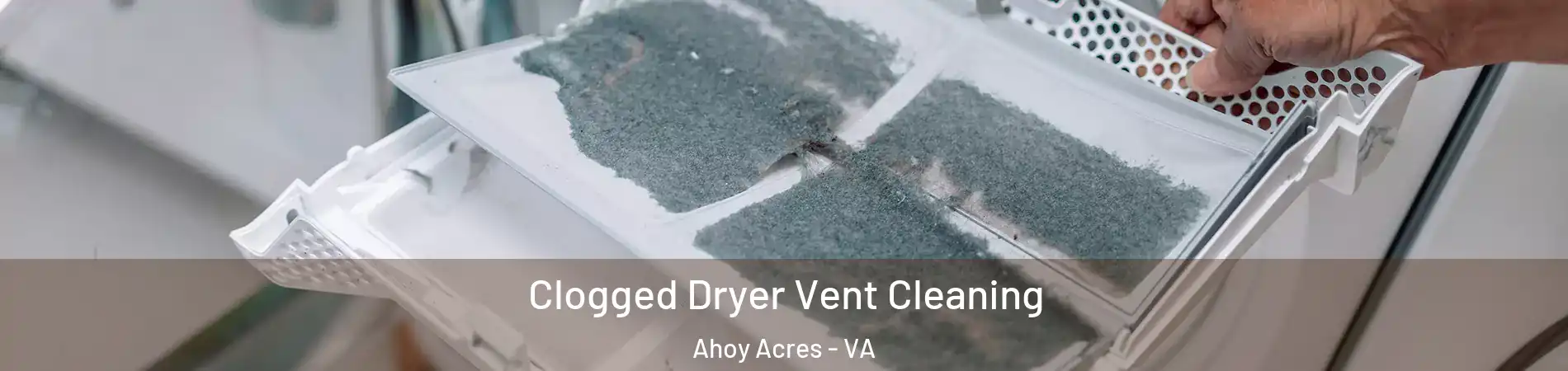 Clogged Dryer Vent Cleaning Ahoy Acres - VA