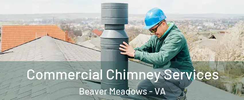 Commercial Chimney Services Beaver Meadows - VA