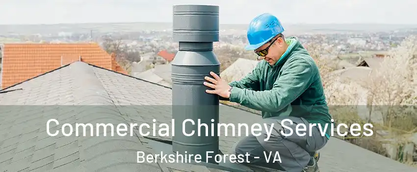 Commercial Chimney Services Berkshire Forest - VA