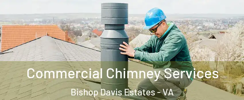 Commercial Chimney Services Bishop Davis Estates - VA