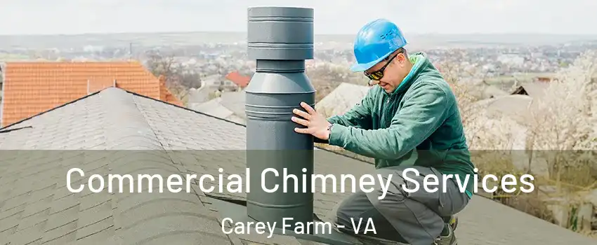Commercial Chimney Services Carey Farm - VA