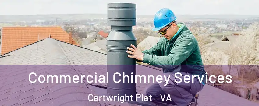 Commercial Chimney Services Cartwright Plat - VA