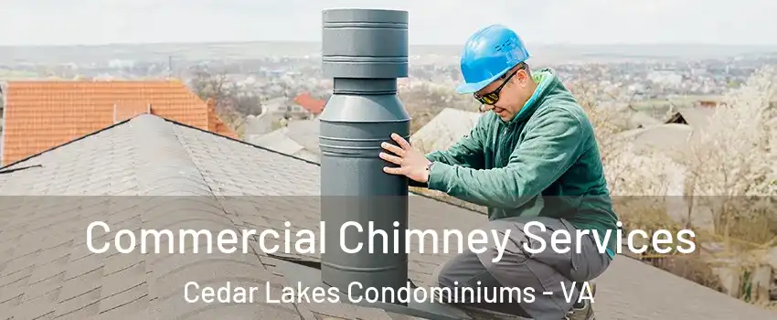 Commercial Chimney Services Cedar Lakes Condominiums - VA