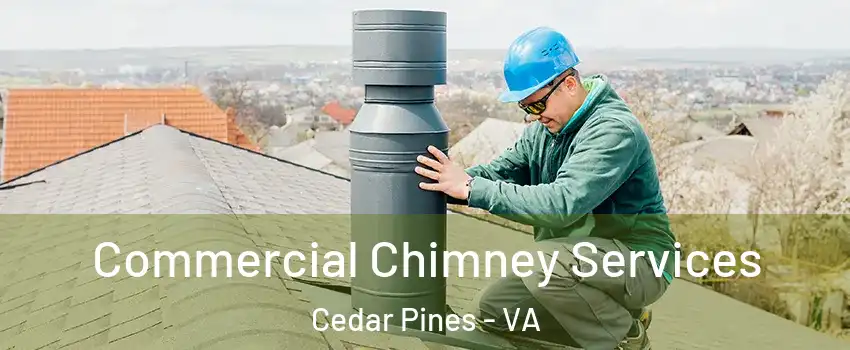 Commercial Chimney Services Cedar Pines - VA