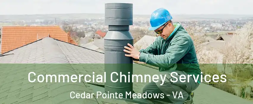Commercial Chimney Services Cedar Pointe Meadows - VA