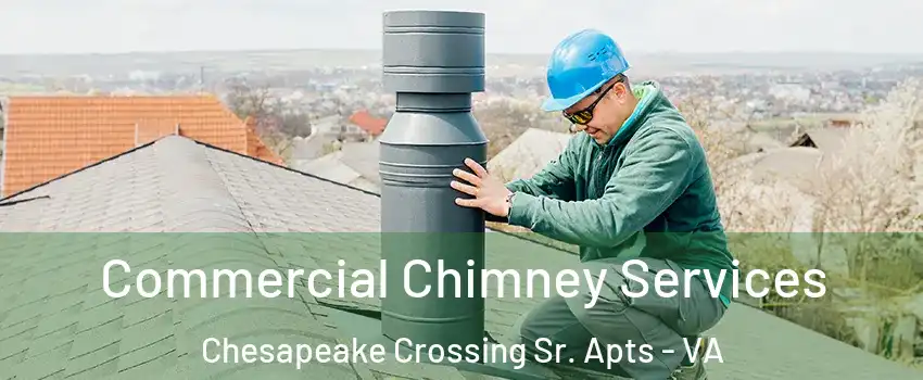 Commercial Chimney Services Chesapeake Crossing Sr. Apts - VA