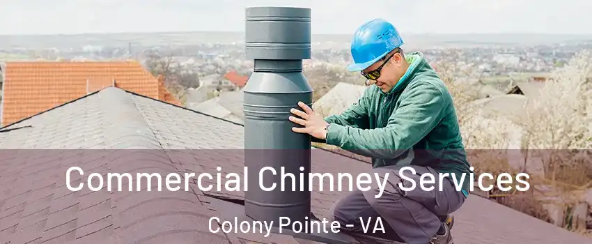 Commercial Chimney Services Colony Pointe - VA