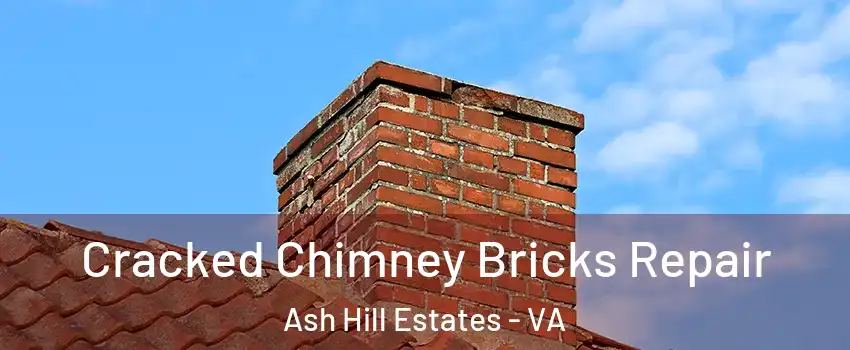 Cracked Chimney Bricks Repair Ash Hill Estates - VA