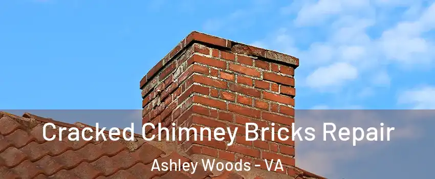 Cracked Chimney Bricks Repair Ashley Woods - VA