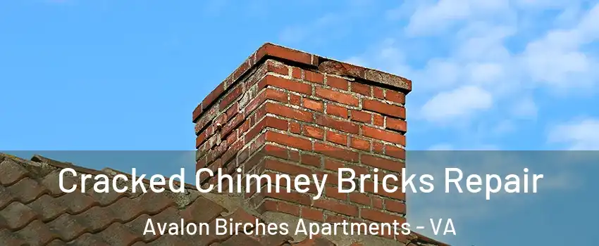 Cracked Chimney Bricks Repair Avalon Birches Apartments - VA