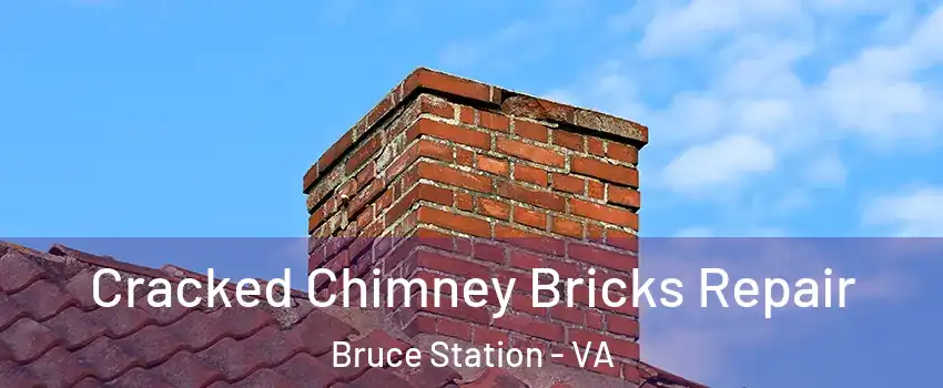 Cracked Chimney Bricks Repair Bruce Station - VA