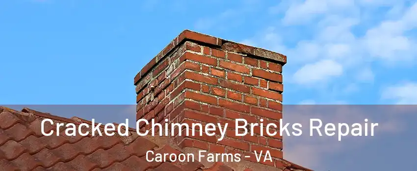 Cracked Chimney Bricks Repair Caroon Farms - VA