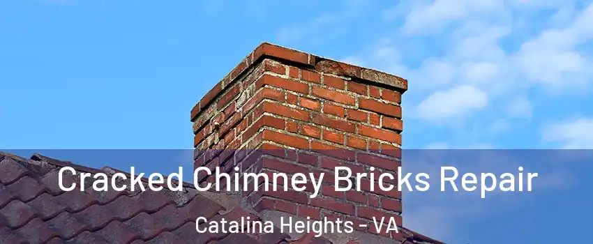 Cracked Chimney Bricks Repair Catalina Heights - VA