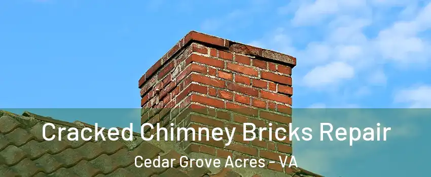 Cracked Chimney Bricks Repair Cedar Grove Acres - VA