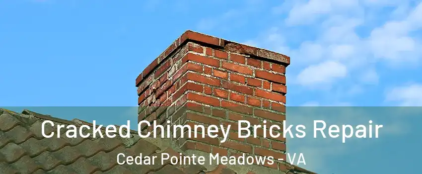 Cracked Chimney Bricks Repair Cedar Pointe Meadows - VA