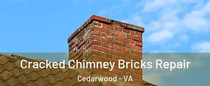 Cracked Chimney Bricks Repair Cedarwood - VA