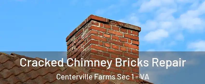 Cracked Chimney Bricks Repair Centerville Farms Sec 1 - VA