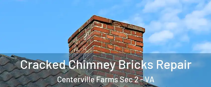 Cracked Chimney Bricks Repair Centerville Farms Sec 2 - VA