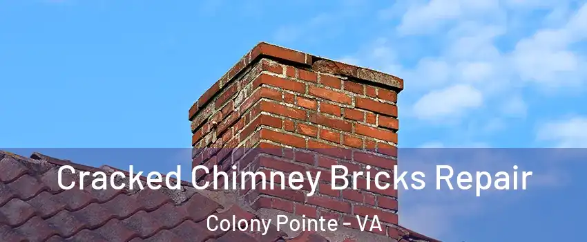 Cracked Chimney Bricks Repair Colony Pointe - VA