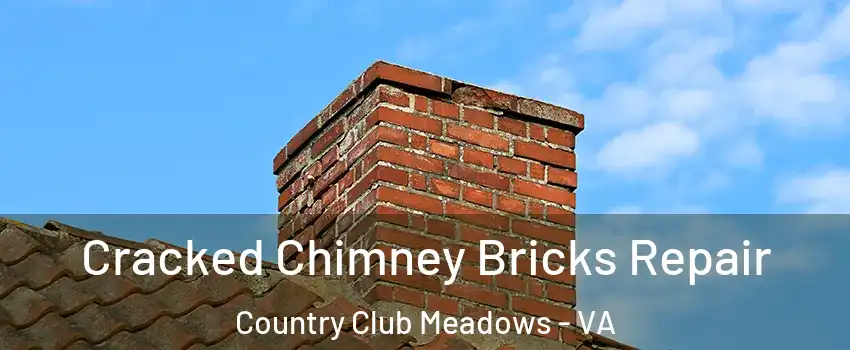 Cracked Chimney Bricks Repair Country Club Meadows - VA